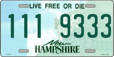 NH license plate 1119333