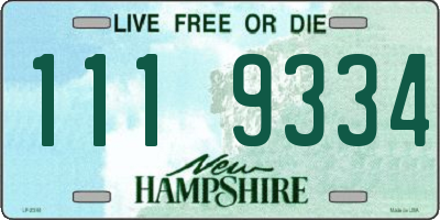 NH license plate 1119334