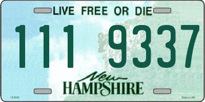 NH license plate 1119337