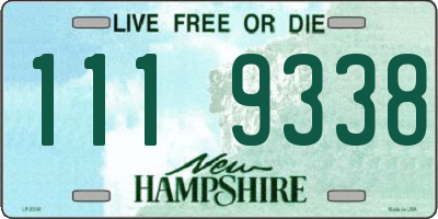 NH license plate 1119338