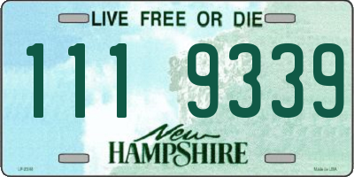 NH license plate 1119339