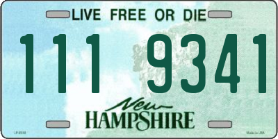NH license plate 1119341