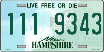NH license plate 1119343