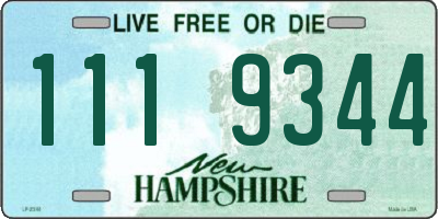 NH license plate 1119344