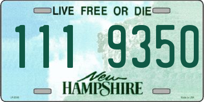 NH license plate 1119350