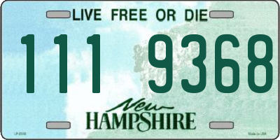 NH license plate 1119368