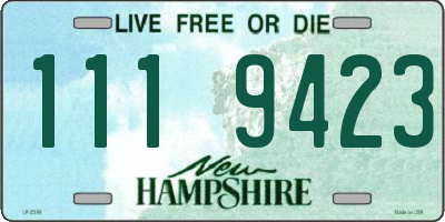 NH license plate 1119423