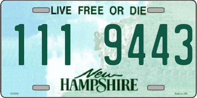 NH license plate 1119443