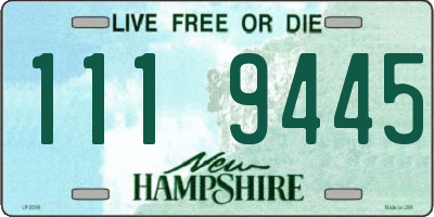 NH license plate 1119445