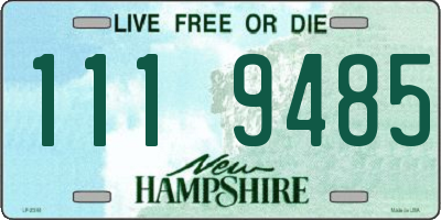 NH license plate 1119485