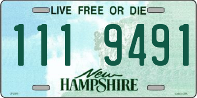 NH license plate 1119491