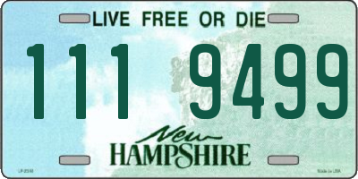 NH license plate 1119499