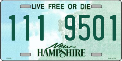 NH license plate 1119501