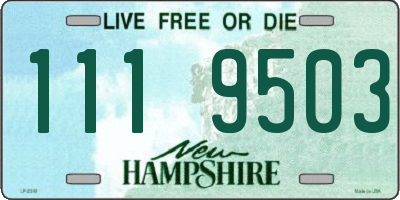 NH license plate 1119503