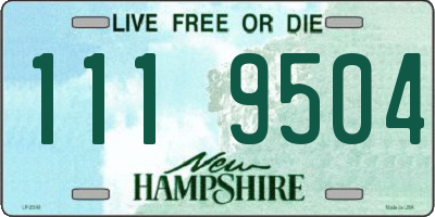 NH license plate 1119504