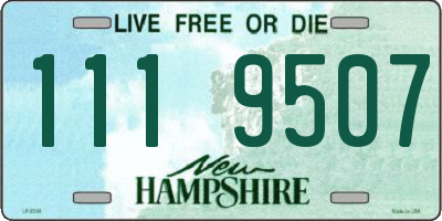 NH license plate 1119507