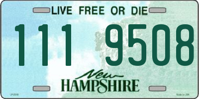 NH license plate 1119508