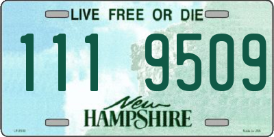 NH license plate 1119509