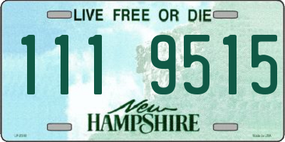 NH license plate 1119515