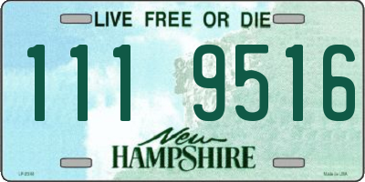 NH license plate 1119516