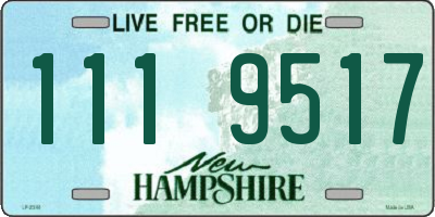 NH license plate 1119517