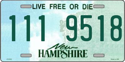 NH license plate 1119518