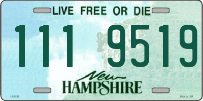 NH license plate 1119519