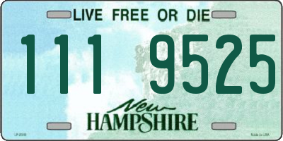 NH license plate 1119525
