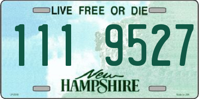 NH license plate 1119527