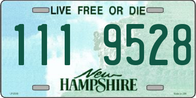 NH license plate 1119528