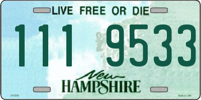 NH license plate 1119533