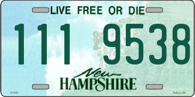 NH license plate 1119538