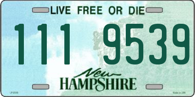 NH license plate 1119539