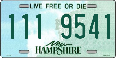 NH license plate 1119541