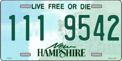 NH license plate 1119542