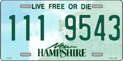NH license plate 1119543