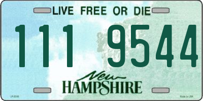 NH license plate 1119544