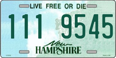 NH license plate 1119545