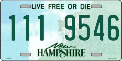 NH license plate 1119546