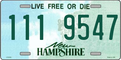 NH license plate 1119547