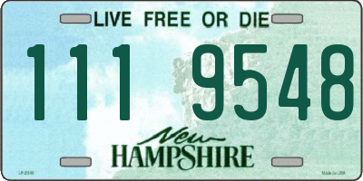 NH license plate 1119548