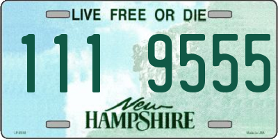 NH license plate 1119555