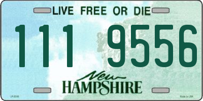NH license plate 1119556