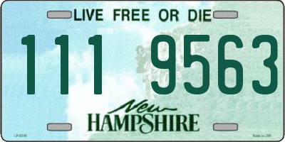 NH license plate 1119563