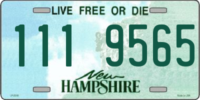 NH license plate 1119565