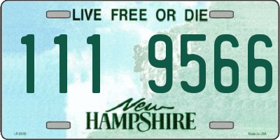 NH license plate 1119566