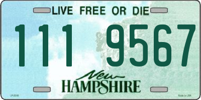 NH license plate 1119567