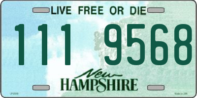 NH license plate 1119568