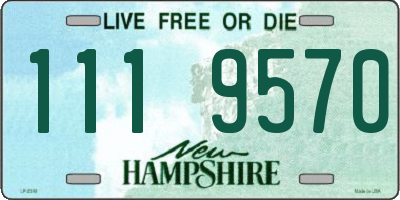 NH license plate 1119570