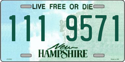 NH license plate 1119571
